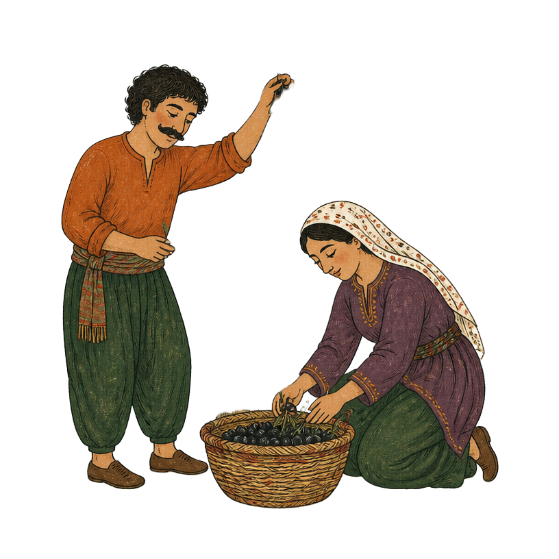 Two harvesters gathering olives into a woven basket